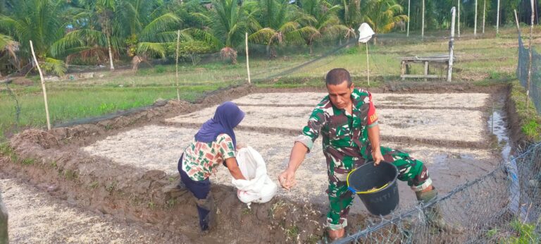 Serka Tengku Ibrahim Dampingi Petani Tabur Benih Padi